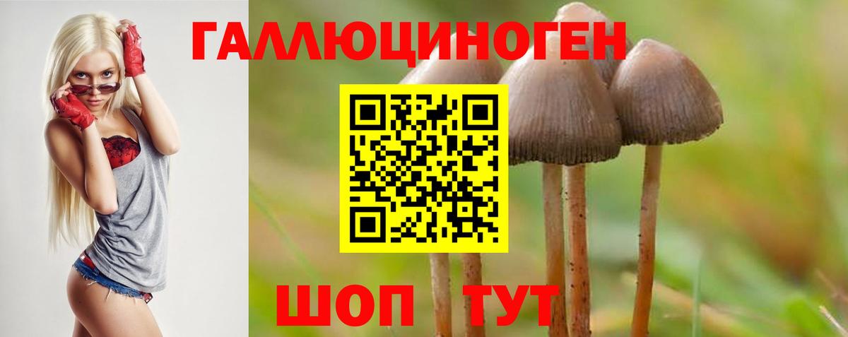 Галлюциногенные грибы мухоморы Петрозаводск